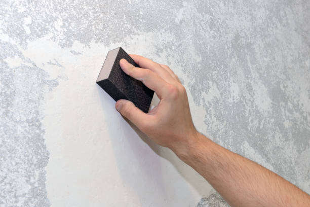 Best Air Quality Testing for Mold Spores  in Woodland Park, CO